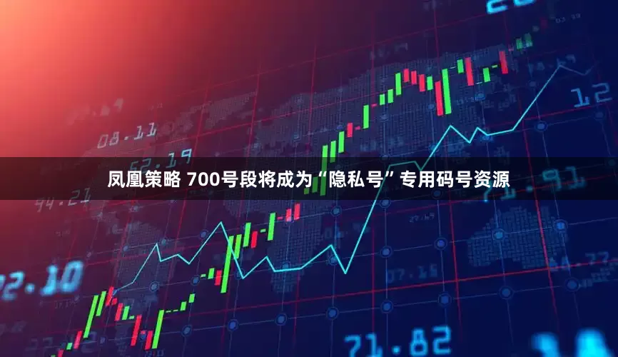 凤凰策略 700号段将成为“隐私号”专用码号资源