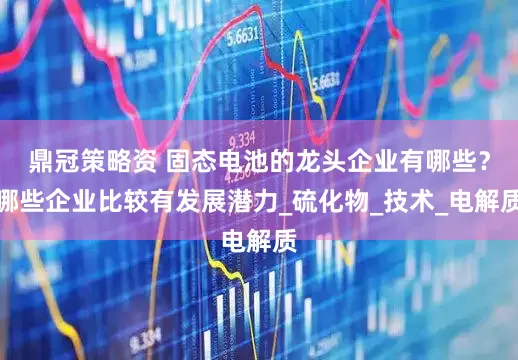鼎冠策略资 固态电池的龙头企业有哪些？哪些企业比较有发展潜力_硫化物_技术_电解质