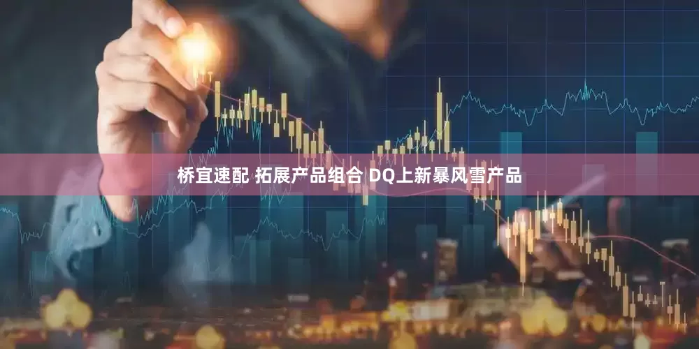 桥宜速配 拓展产品组合 DQ上新暴风雪产品