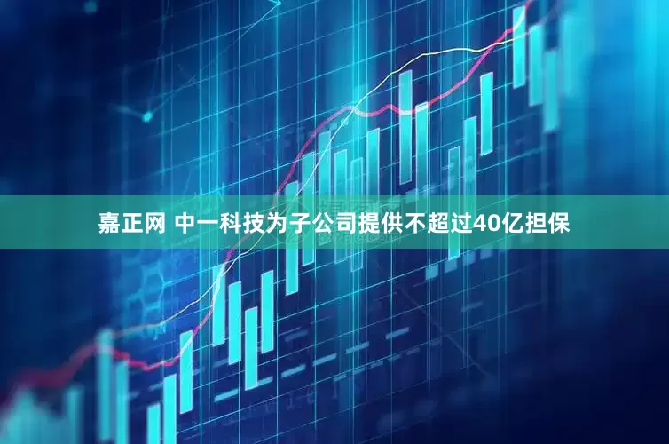 嘉正网 中一科技为子公司提供不超过40亿担保