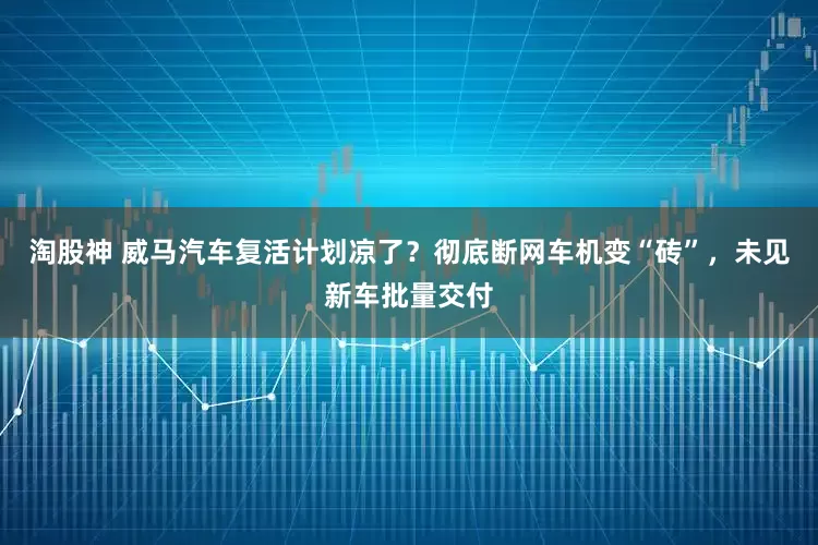 淘股神 威马汽车复活计划凉了？彻底断网车机变“砖”，未见新车批量交付